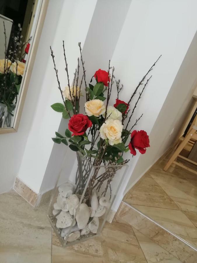 Studio Rose PUY 외부 사진